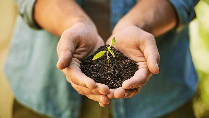 12 Essential Questions for a Nonprofit Board to Ask a Financial Advisor
